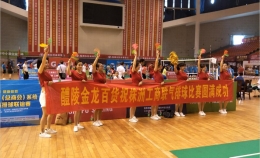 工商联气排球比赛